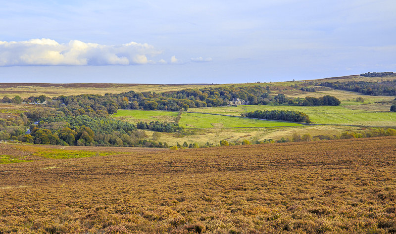 Longshaw