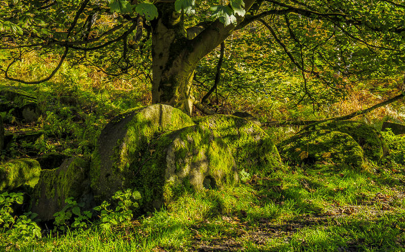 Bole Hill Quarry