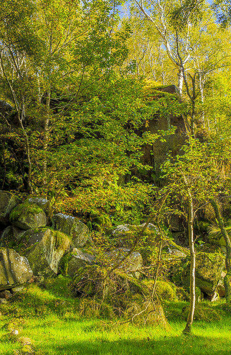 Bole Hill Quarry