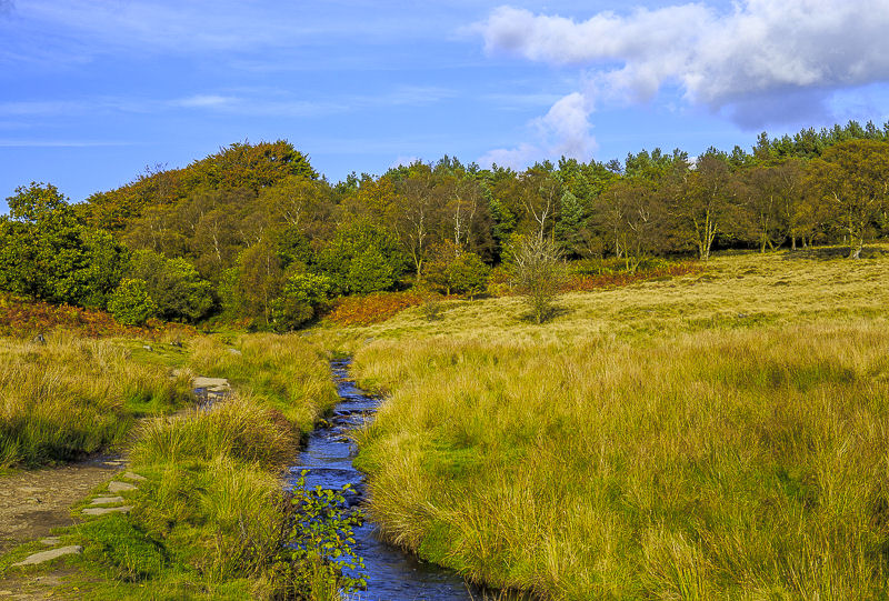 Burbage Brook