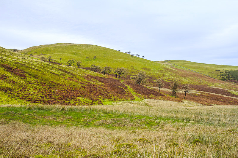 Fellbarrow