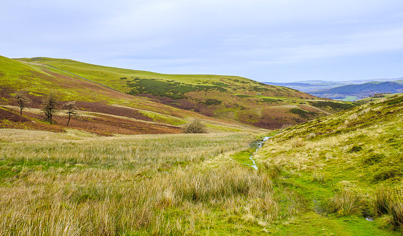 Hatteringill Head