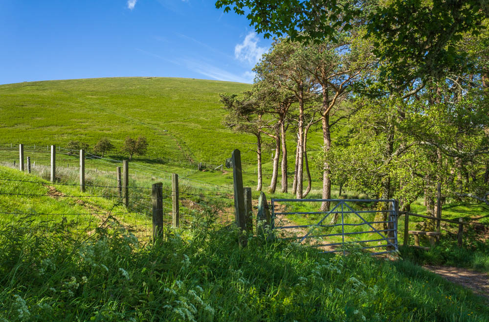 Little Mell Fell