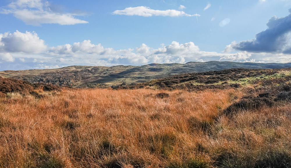 Scalebarrow Knott