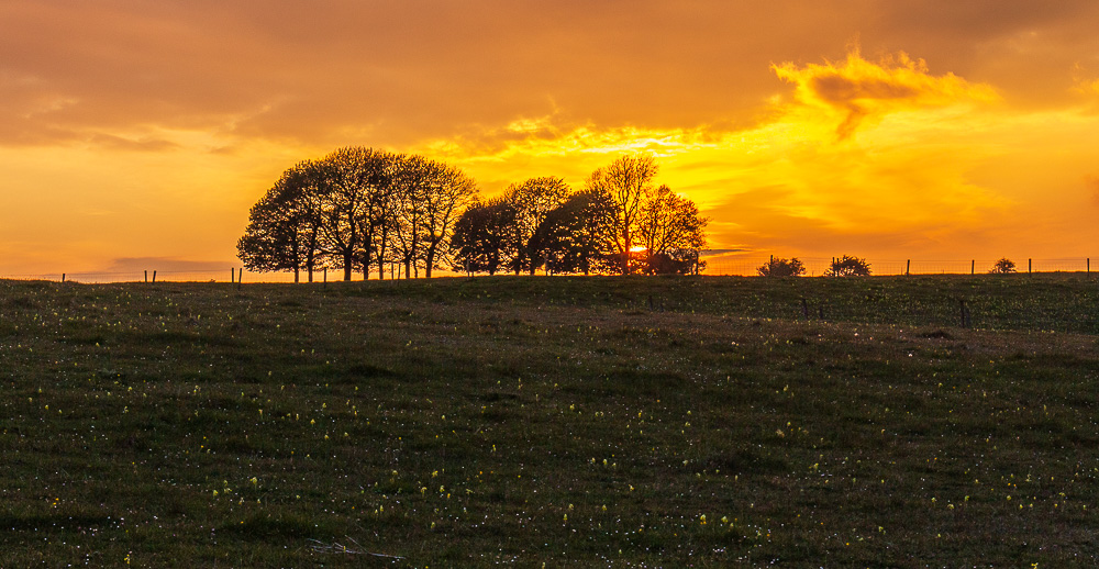 Middleton Moor