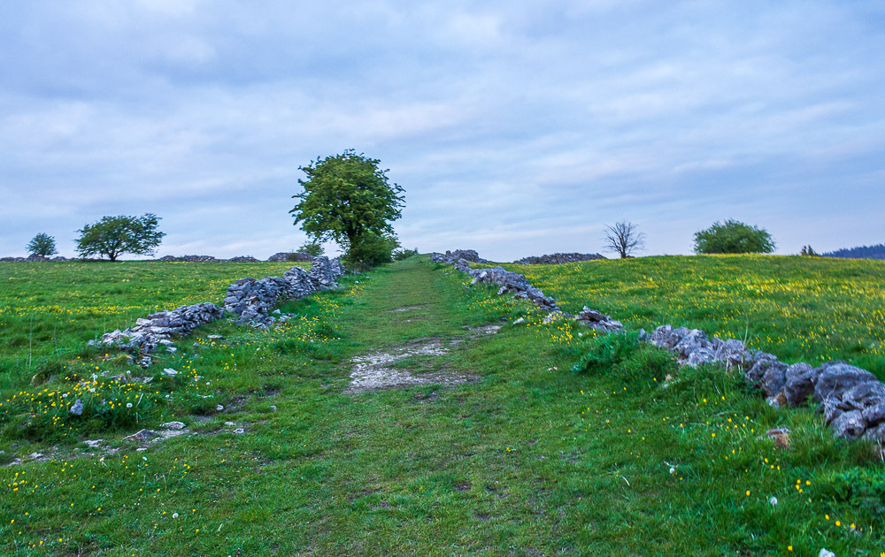 Middleton Moor