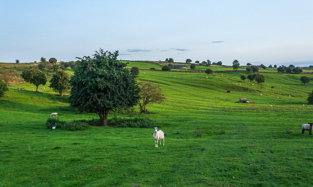 Brassington Moor