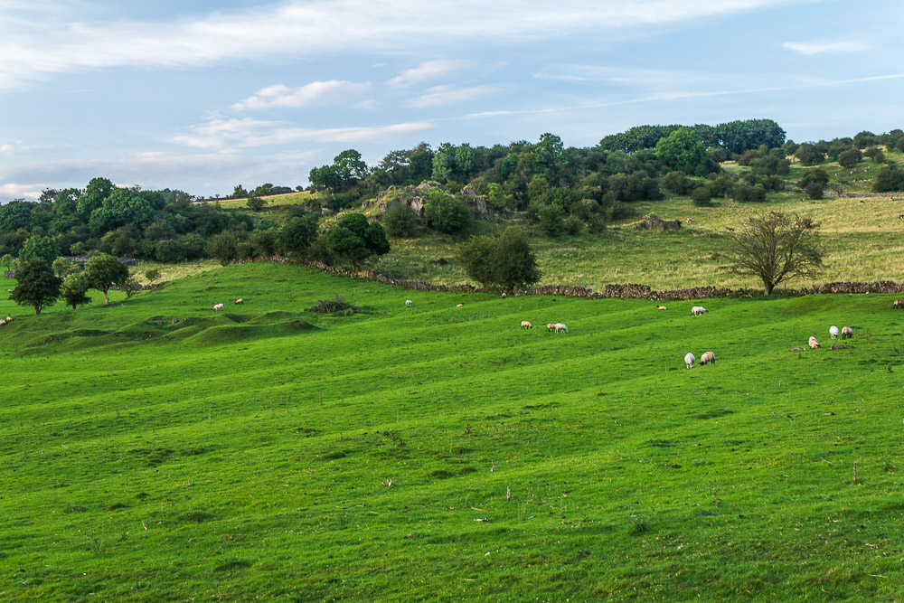 Brassington Moor