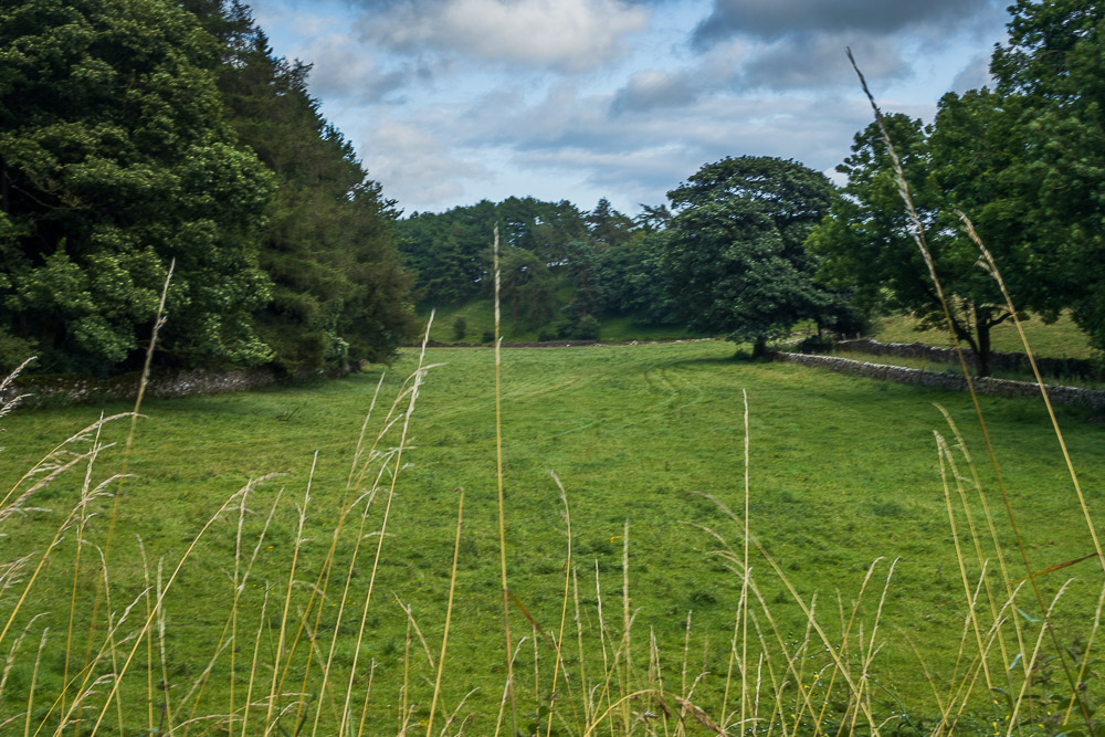 Bolderstone Plantation