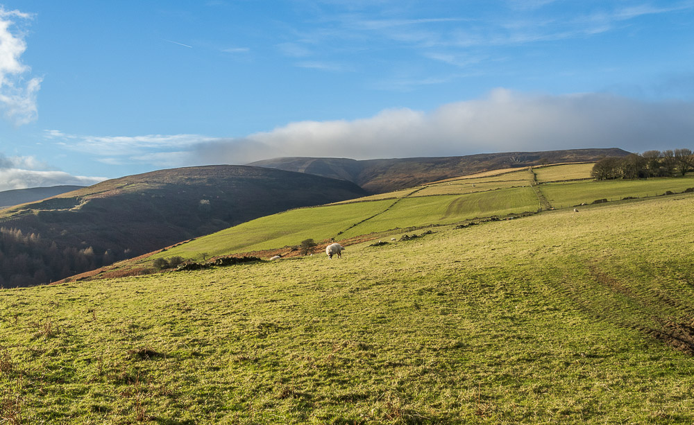 Crookstone Knoll