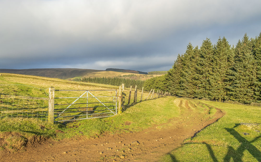 Rowlee Pasture