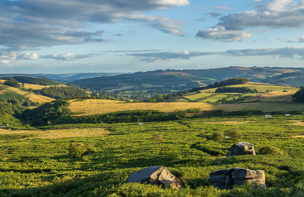 Sheepwash Bank