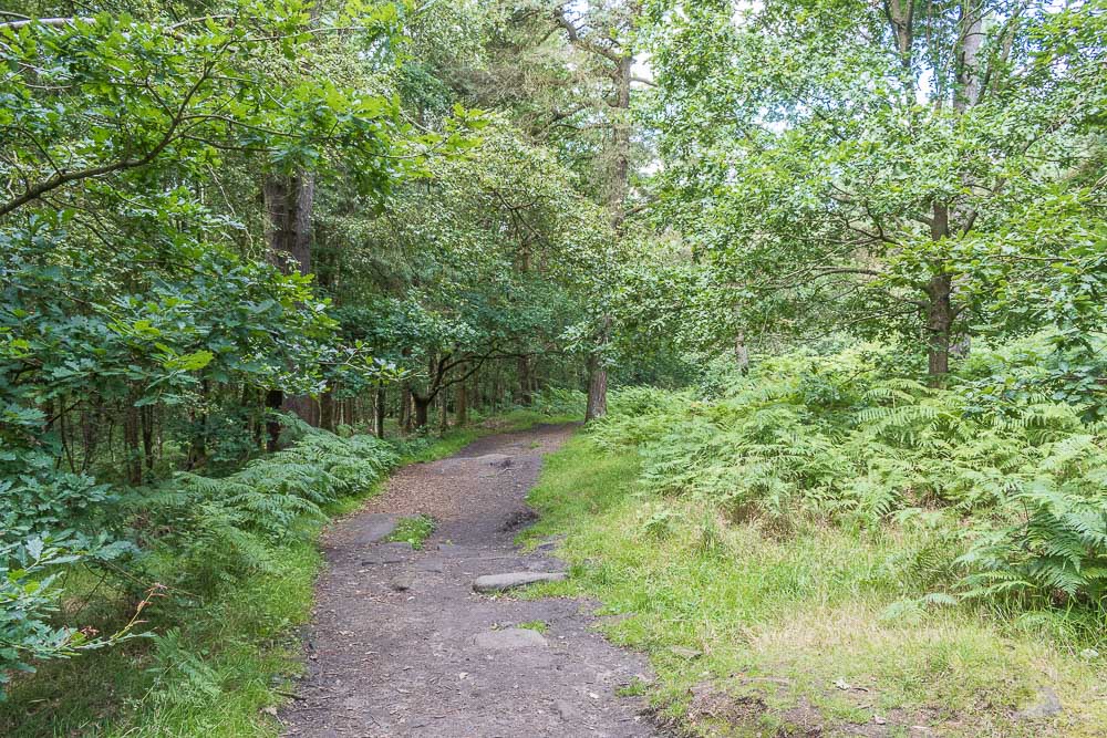 Longshaw