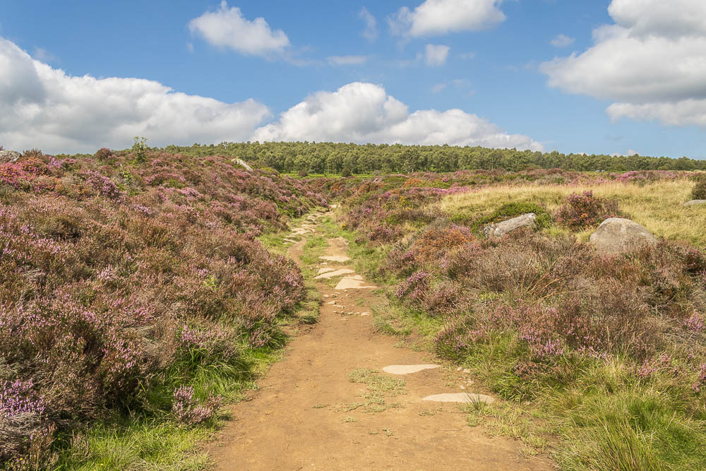 Longshaw Estate