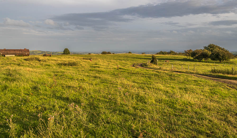 Middleton Moor