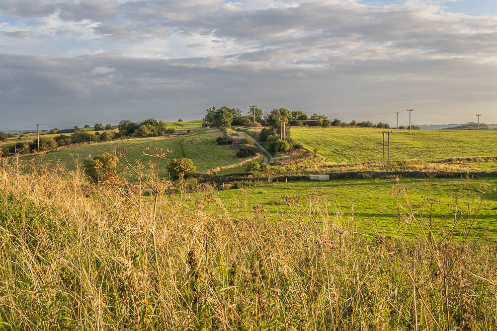 Middleton Moor