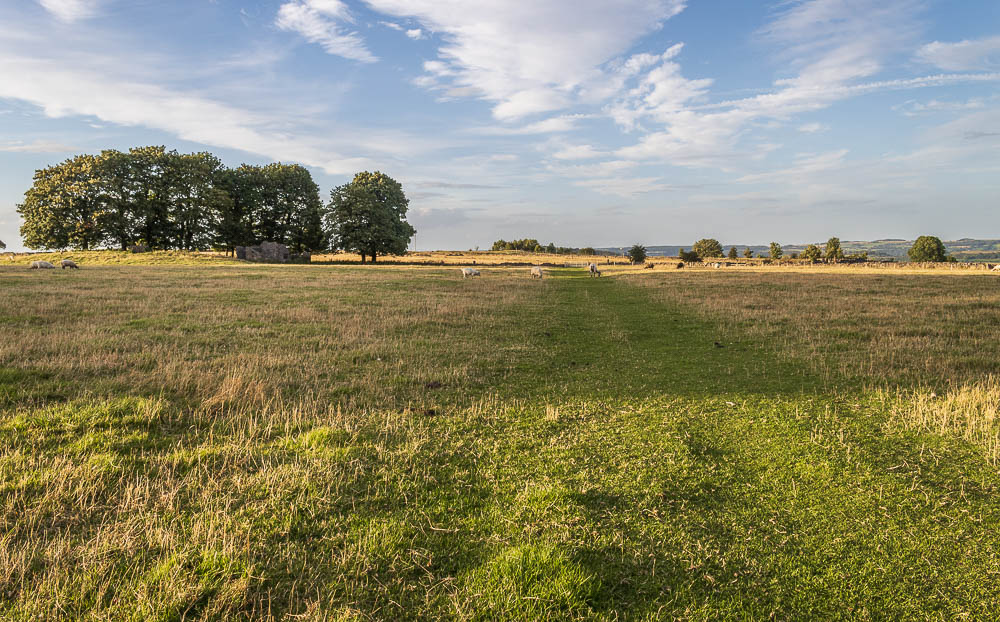 Middleton Moor