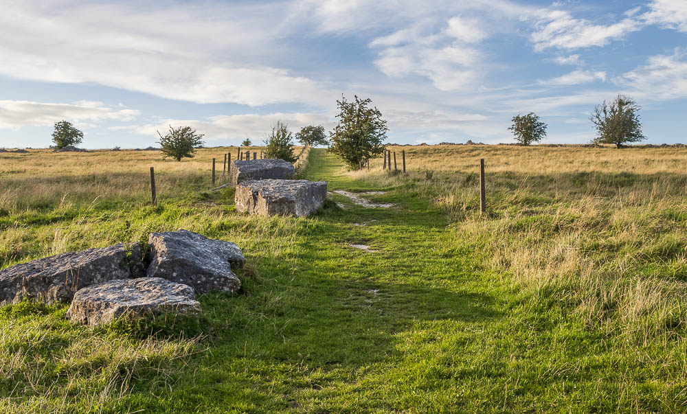 Middleton Moor