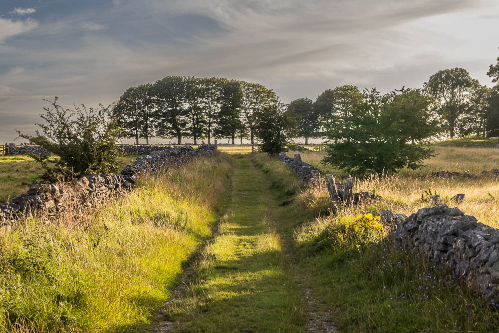 Middleton Moor