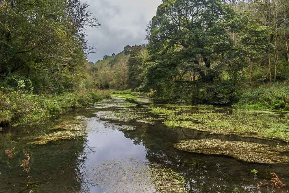 River Bradford