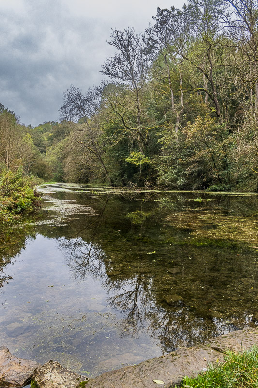 River Bradford