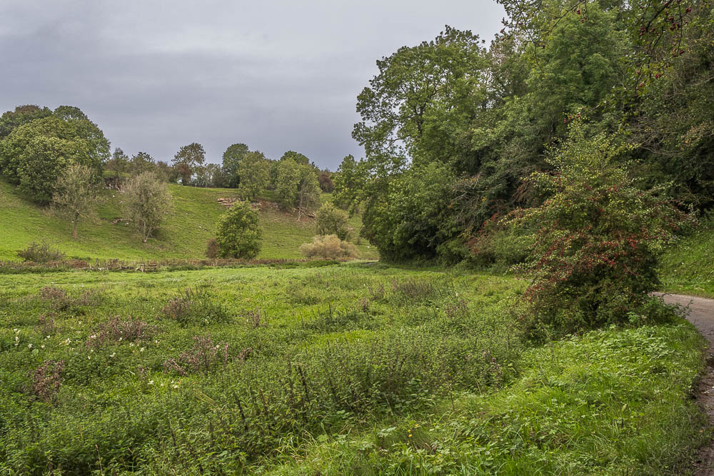 Bradford Dale