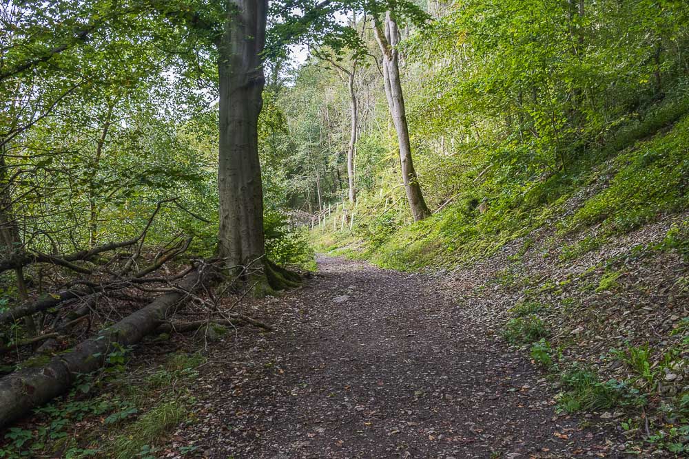 Lathkill Dale