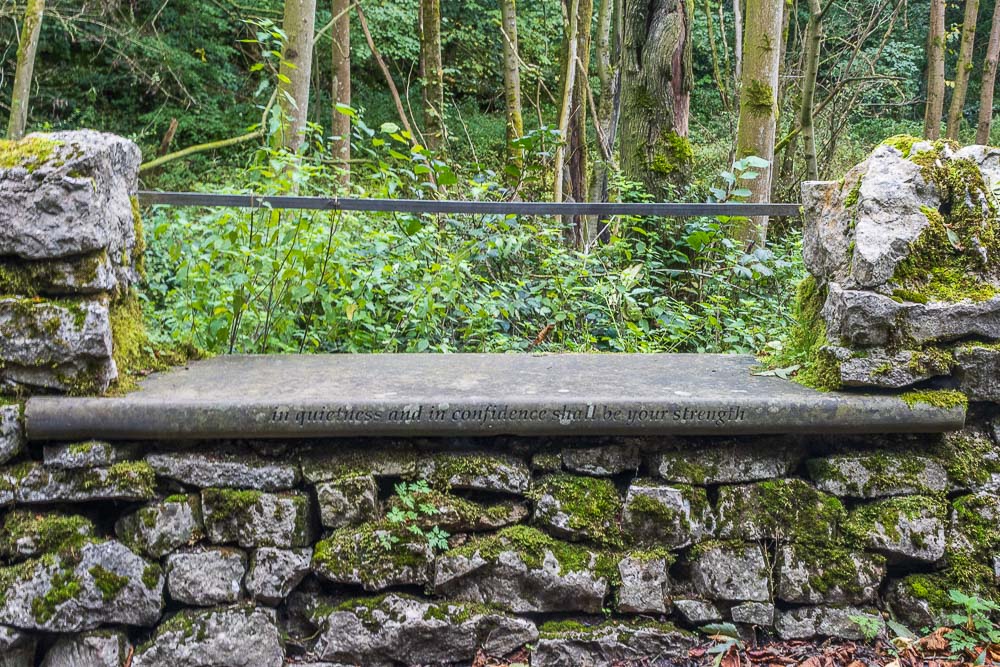 Roughwood Hollow Seat