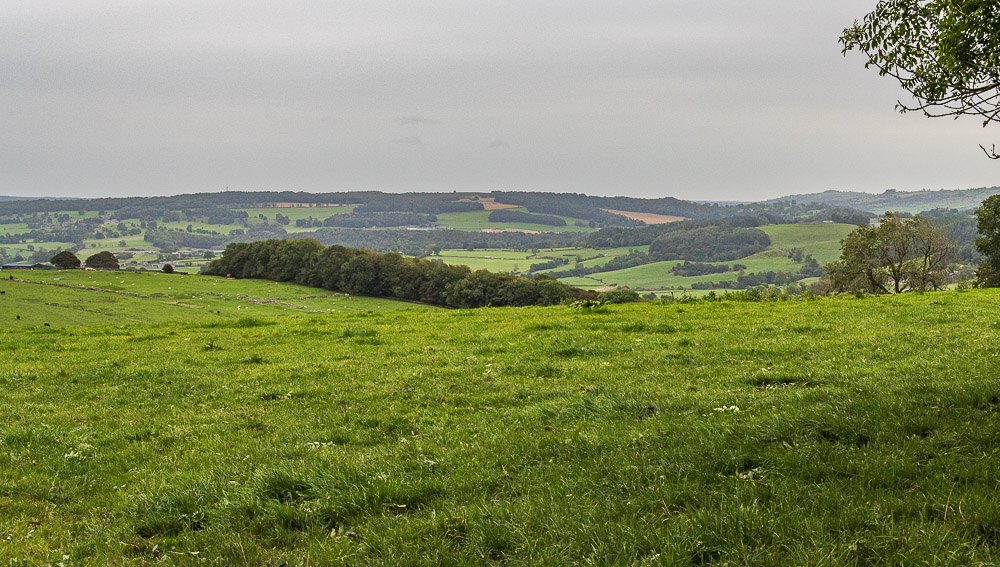 Stanton Moor