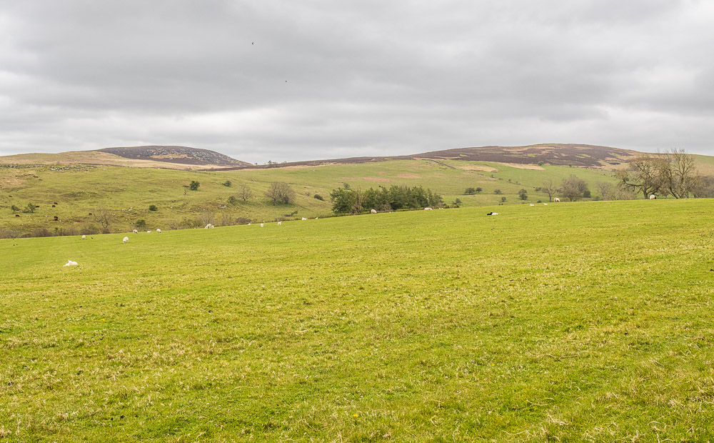 Garleigh Moor