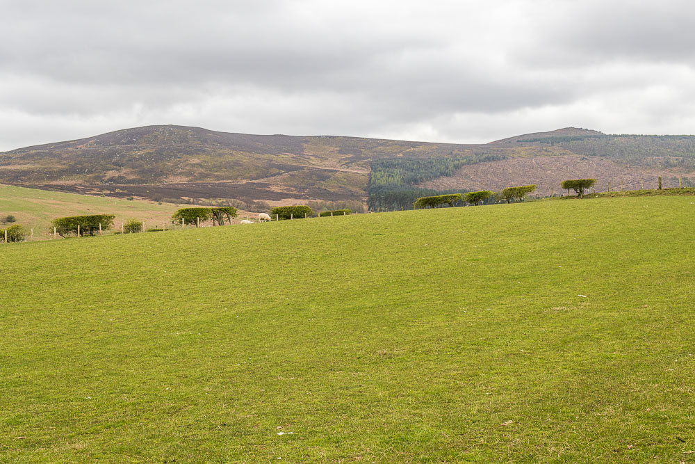 Simonside Hills