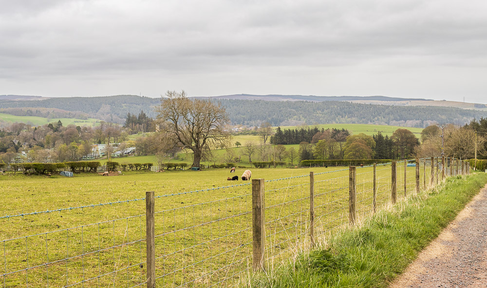 Rothbury Terraces