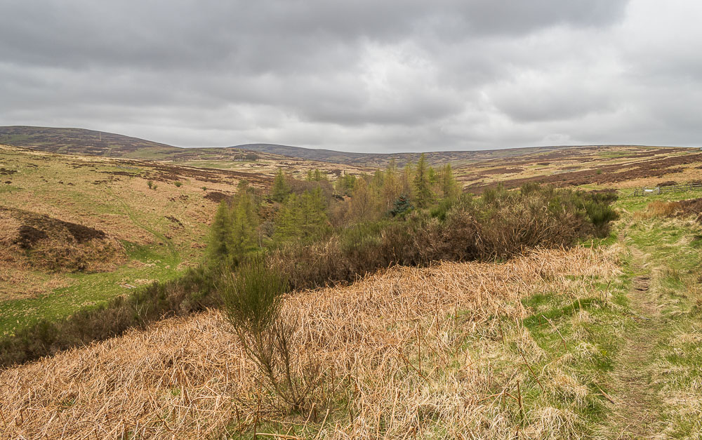 Broadhope Hill