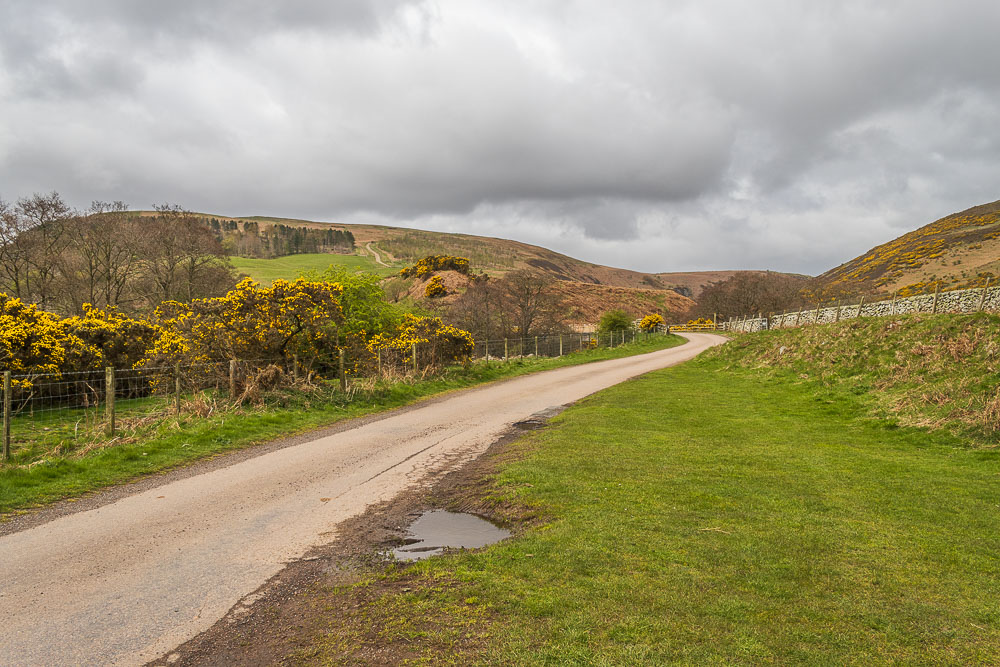 Harthope Valley