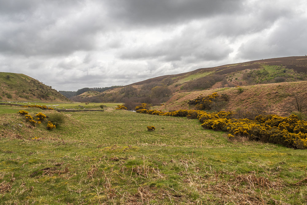 Harthope Valley