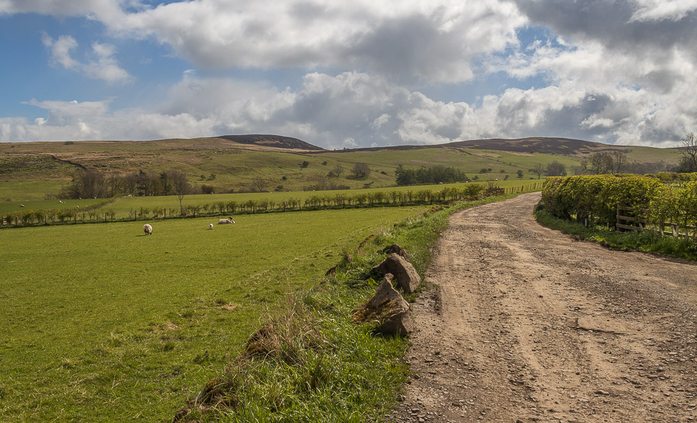 Garleigh Moor