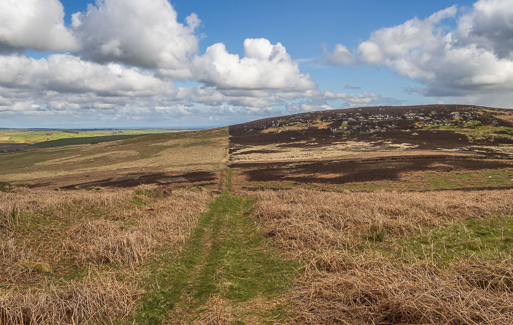 Garleigh Moor