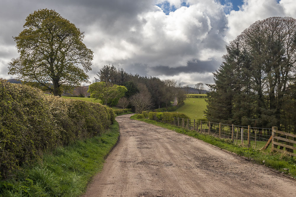 Hillhead Road