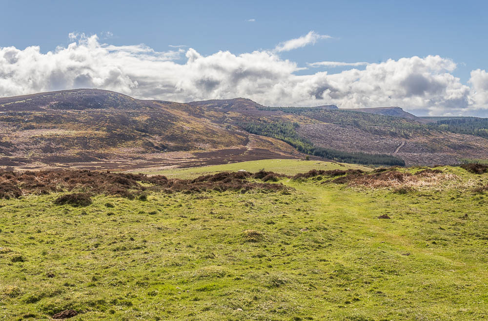 Simonside Hills