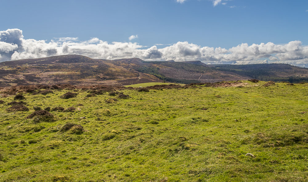 Simonside Hills