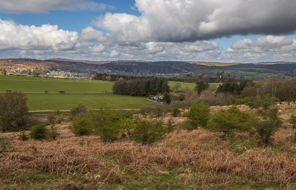 Rothbury Terraces