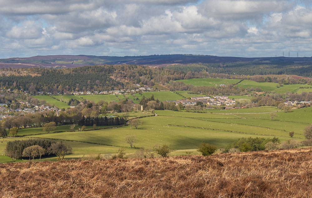 Rothbury Terraces