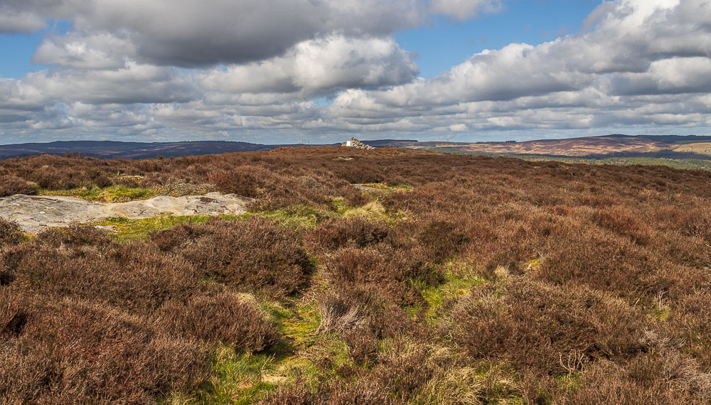 Garleigh Moor