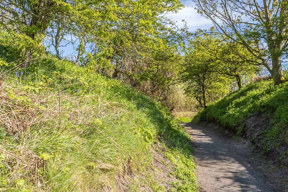 St Oswald's Way