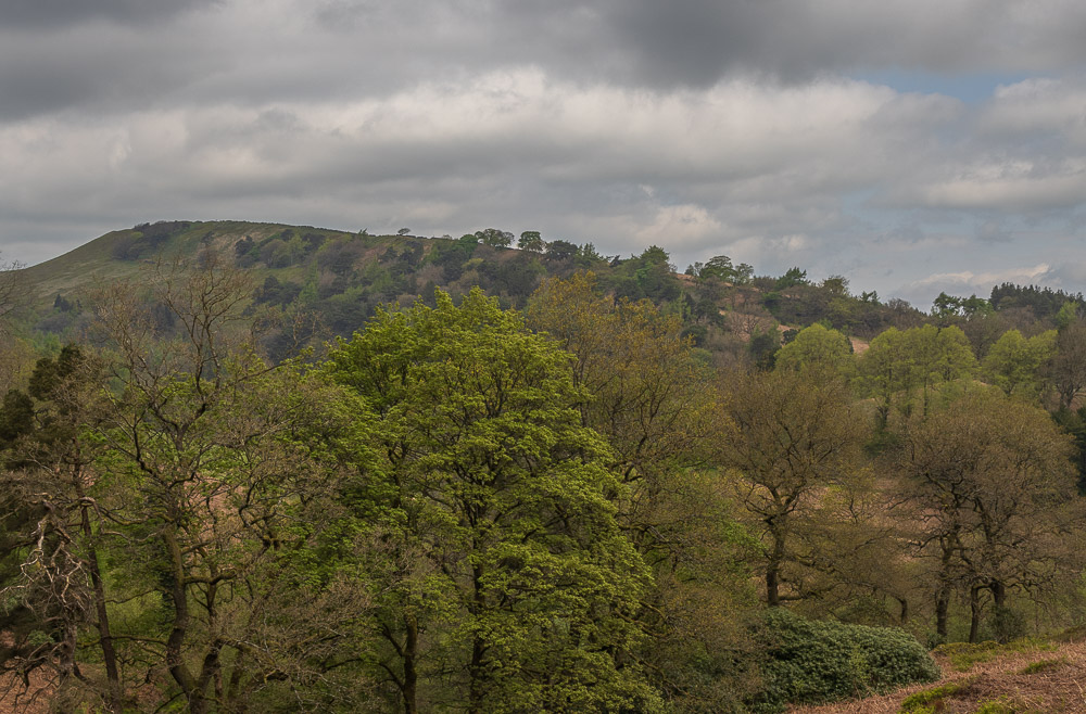 Foxlow Edge