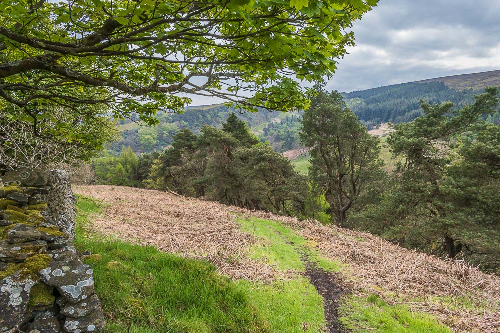 Foxlow Edge