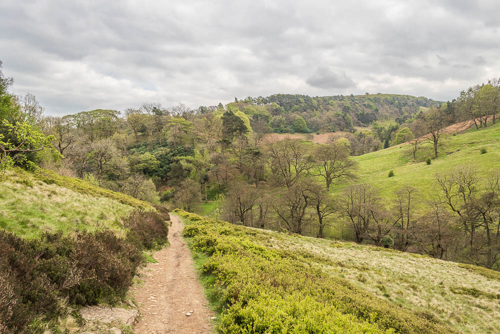 Shooter's Clough