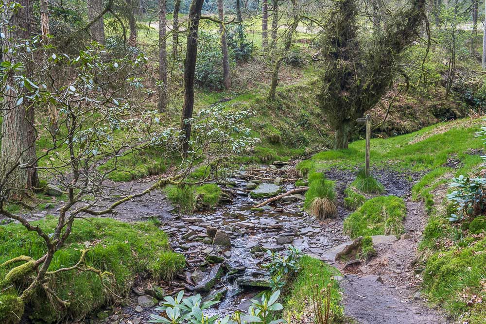 Shooter's Clough