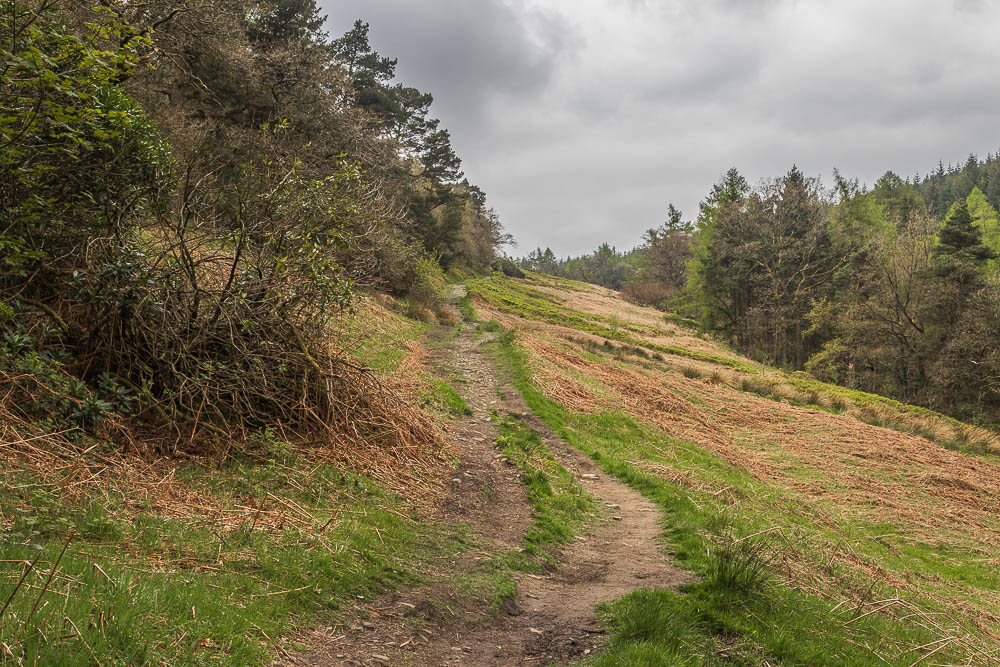 Shooter's Clough