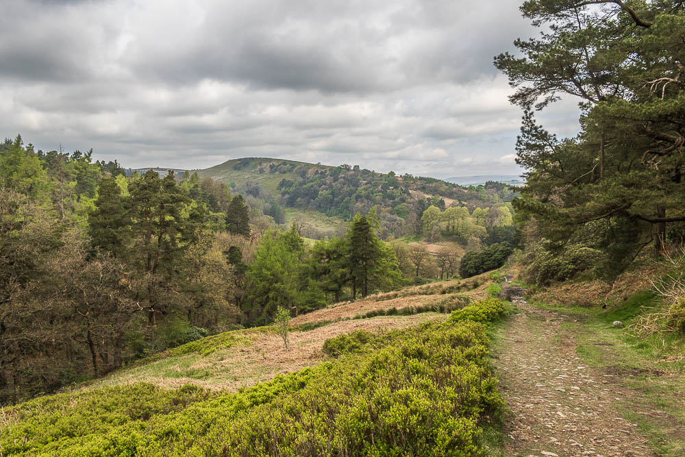 Shooter's Clough